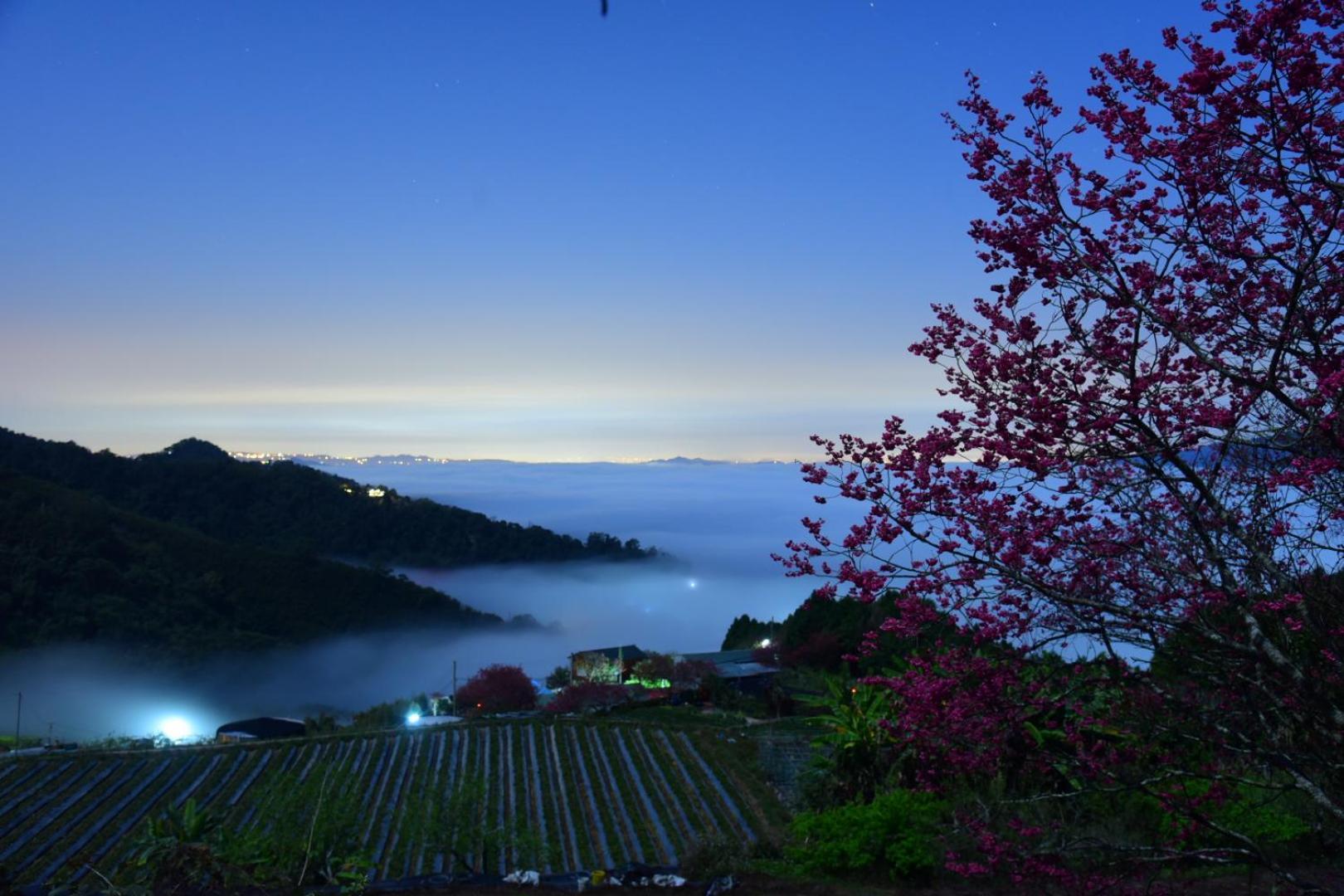 Maple Map B&B ต้าหู ภายนอก รูปภาพ