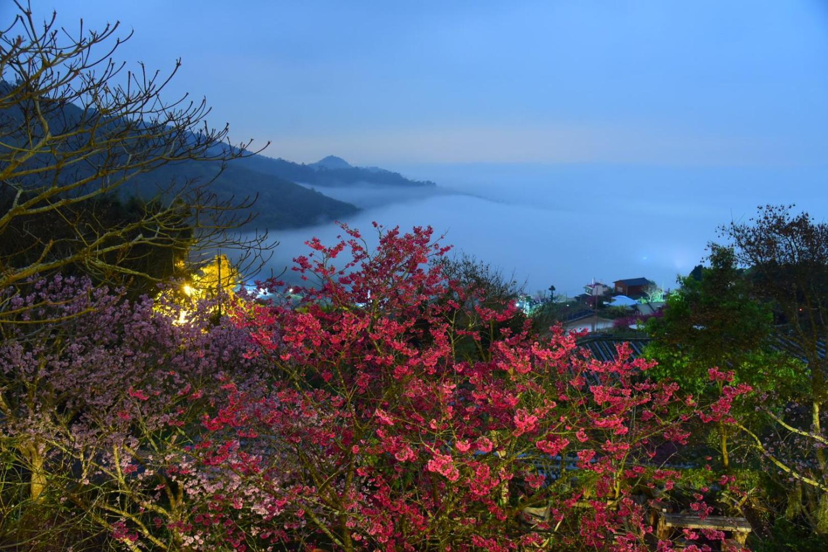 Maple Map B&B ต้าหู ภายนอก รูปภาพ