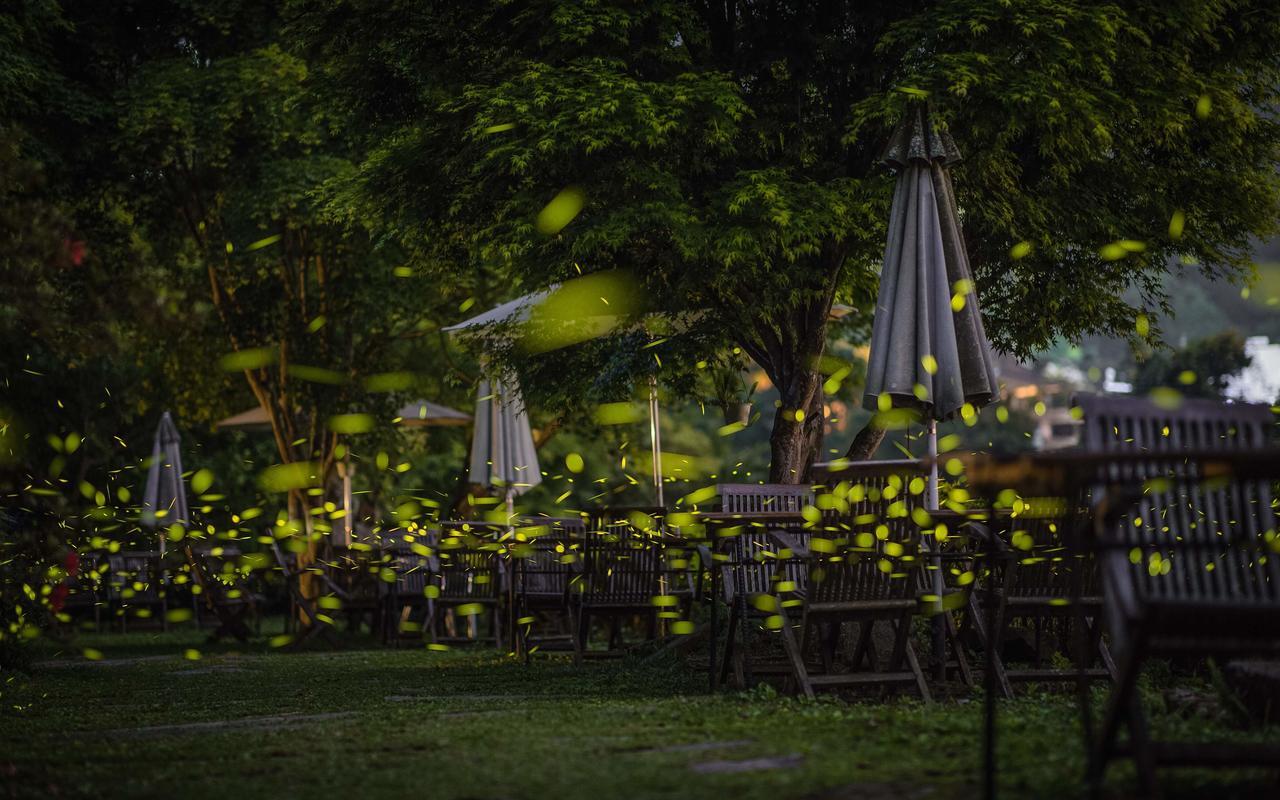 Maple Map B&B ต้าหู ภายนอก รูปภาพ
